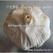 Black garlic the best choice for 2013